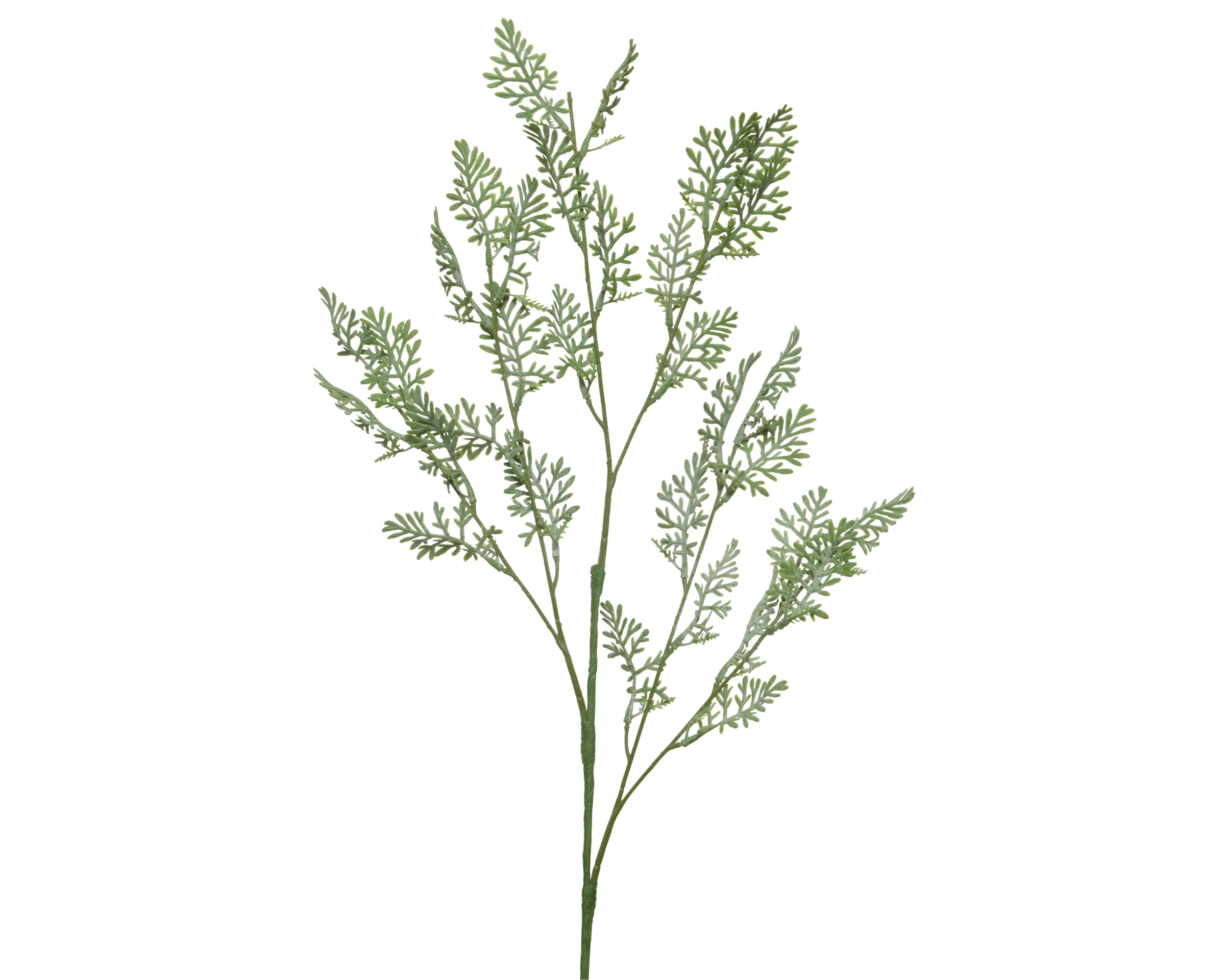 ΚΛΑΔΙ ΠΡΑΣΙΝΑΔΑΣ 33ΕΚ. - Image 11