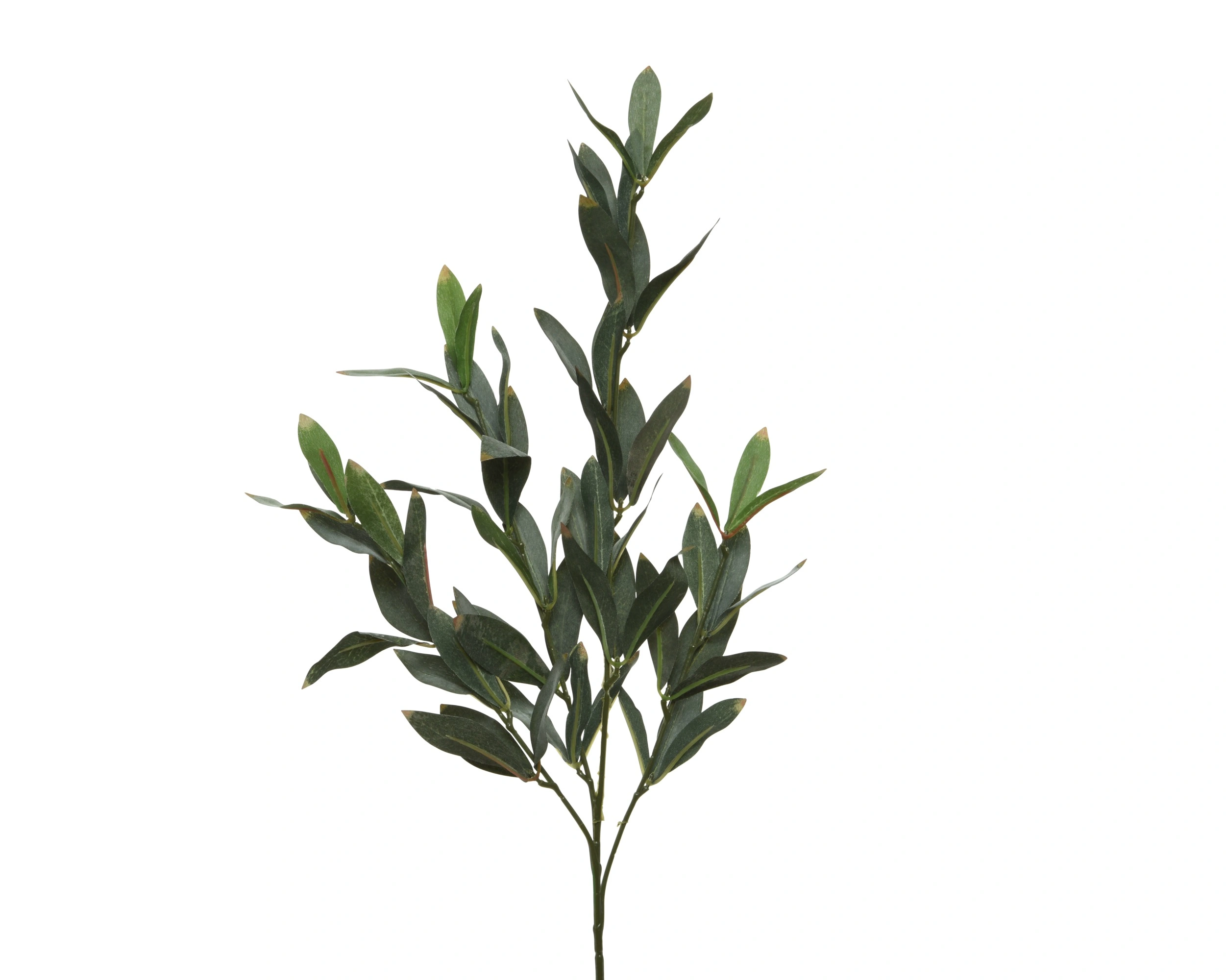 ΚΛΑΔΙ ΠΡΑΣΙΝΑΔΑΣ 33ΕΚ. - Image 5