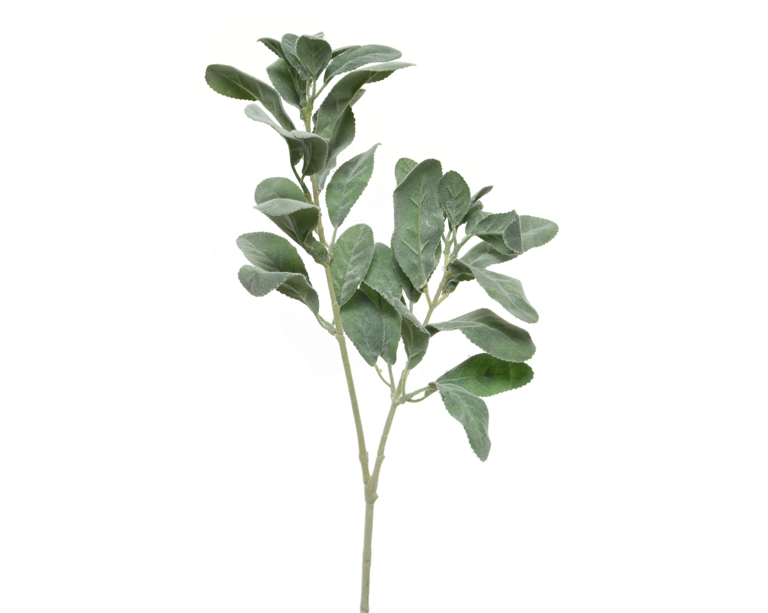 ΚΛΑΔΙ ΠΡΑΣΙΝΑΔΑΣ 33ΕΚ. - Image 10