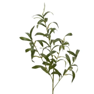 ΚΛΑΔΙ ΕΛΙΑΣ 77ΕΚ.