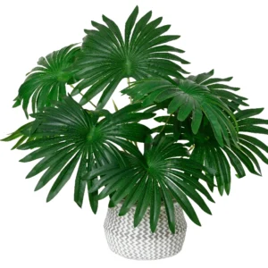 ΦΥΤΟ ΣΕ ΓΛΑΣΤΡΑ 50ΕΚ.